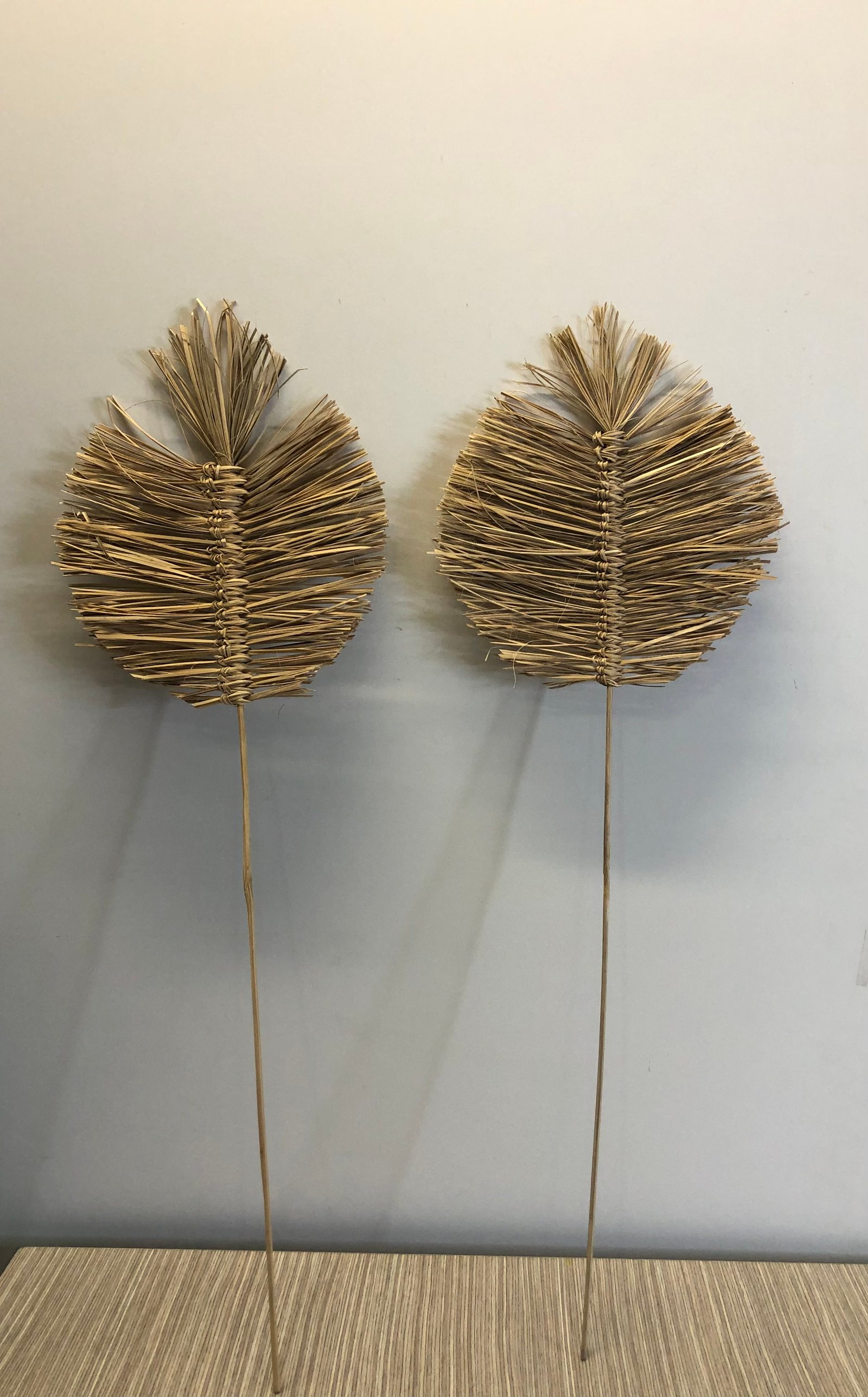 Hoja Paja Pequeña
