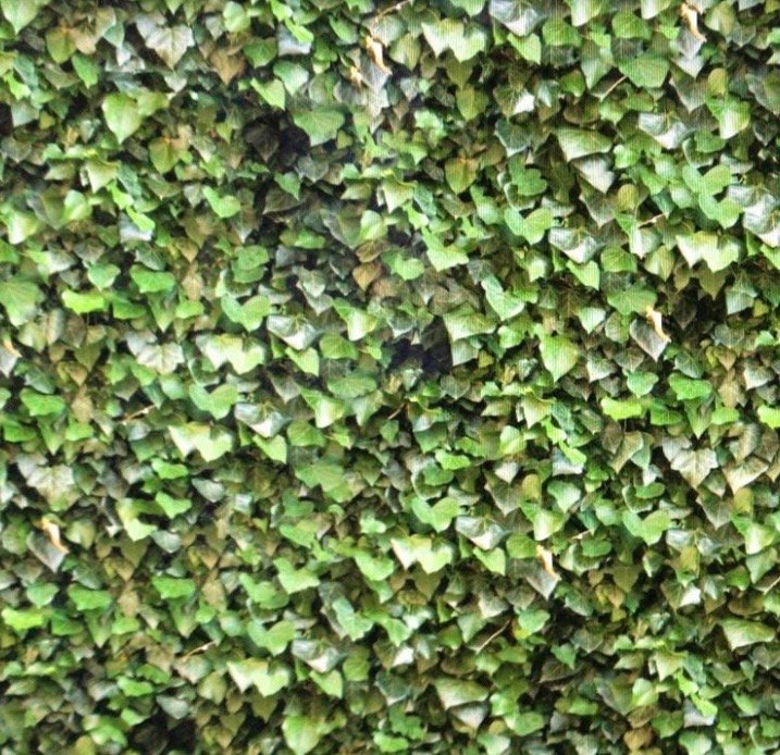 ESTRUCTURA AJUSTABLE MAS LONA HOJAS VERDES