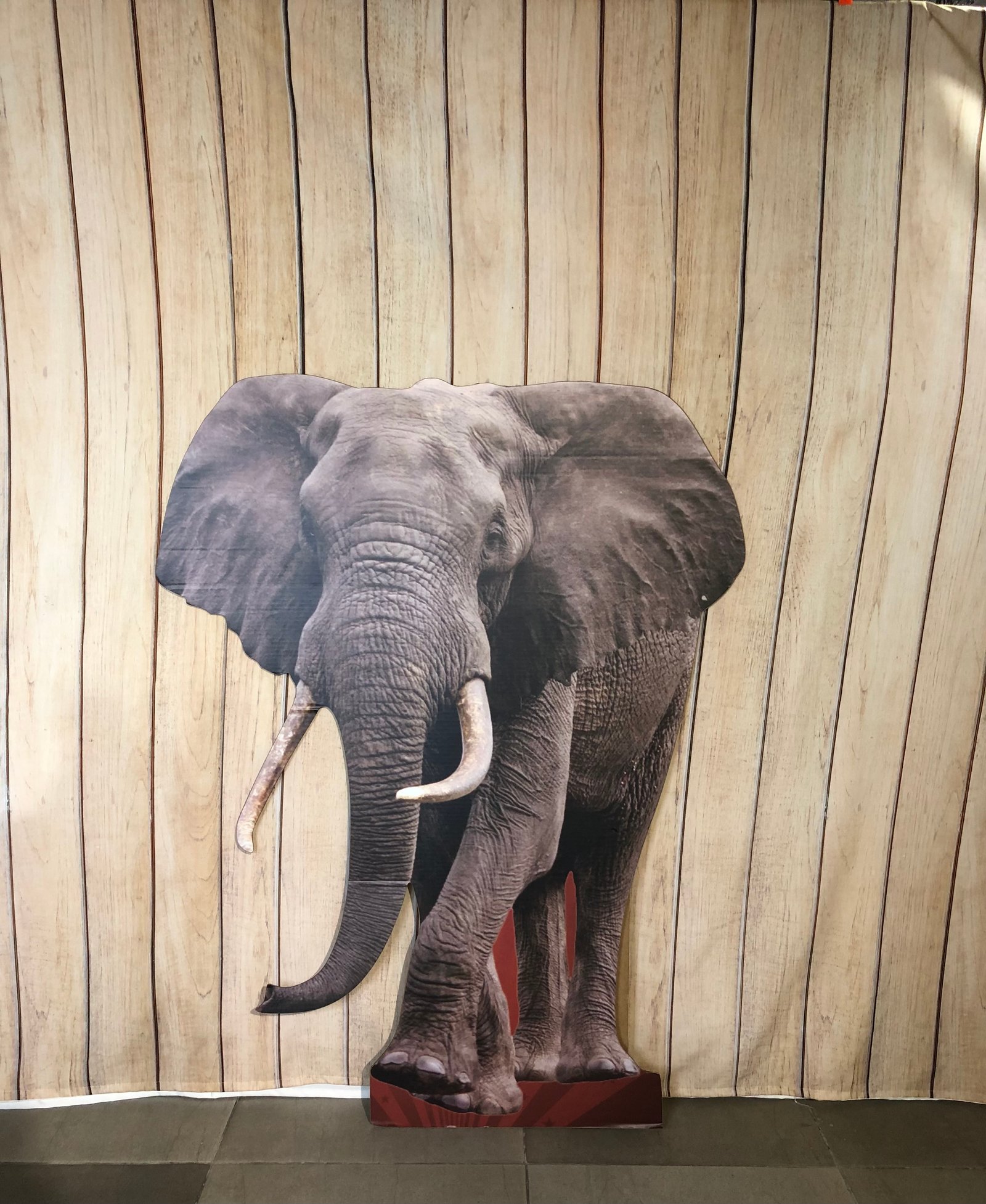 Elefante Cartón Grande