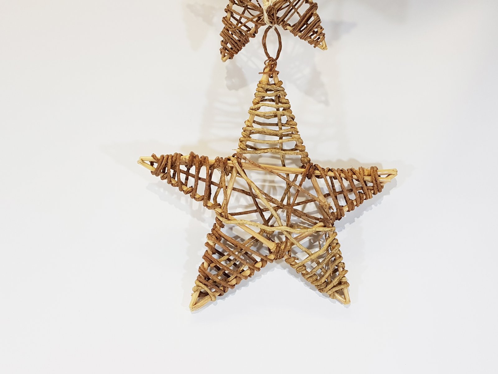 Estrella Bejuco Mediana