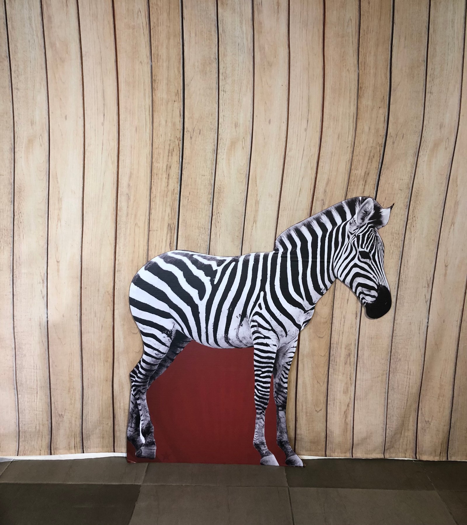 Cebra Cartón Grande