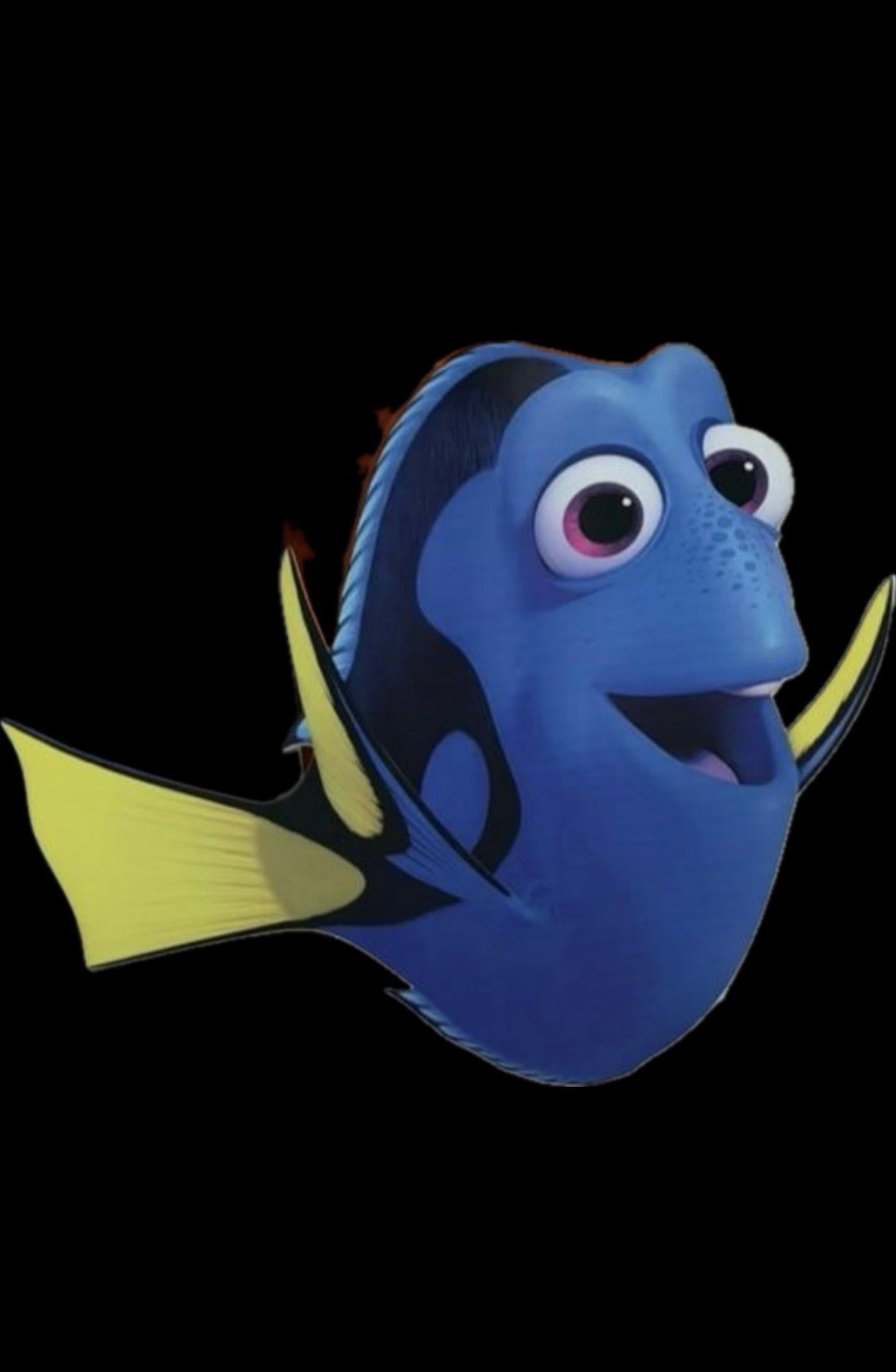 Dori Mdf (Nemo)