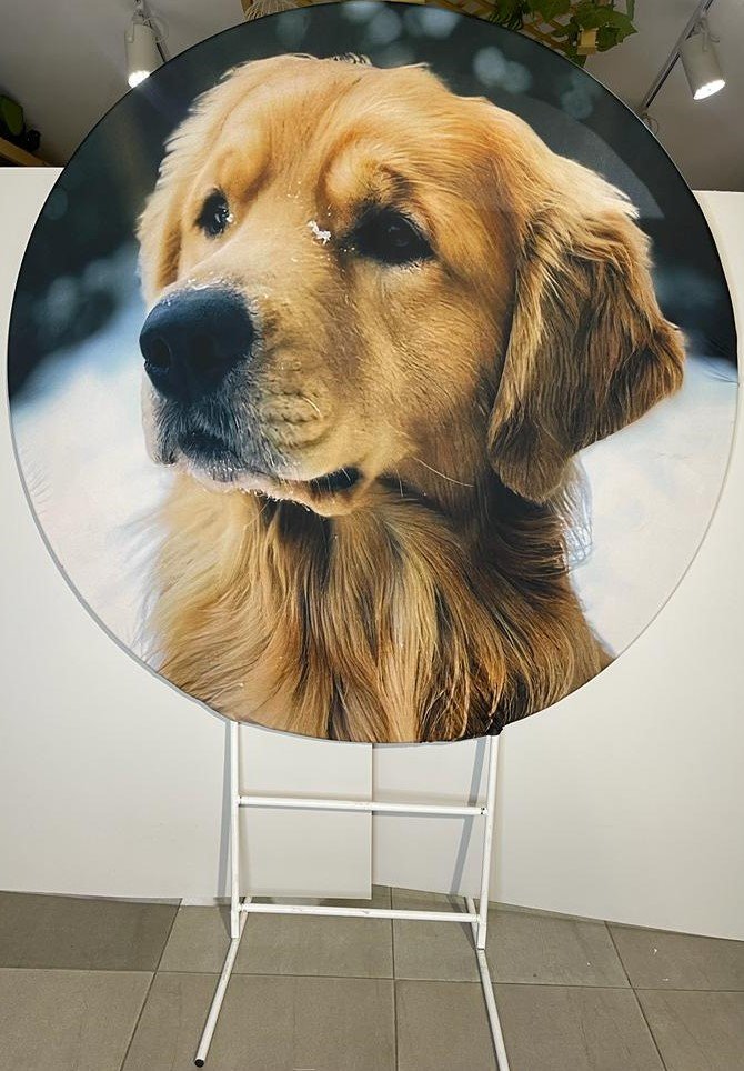 estructura redonda mas tela perro