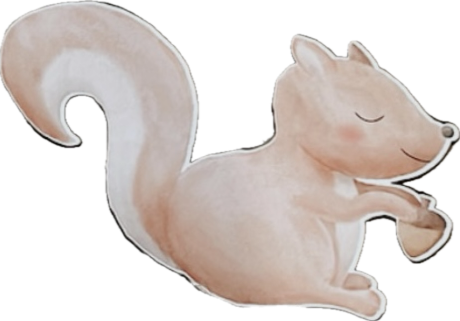 Ardilla Mdf Pequeña