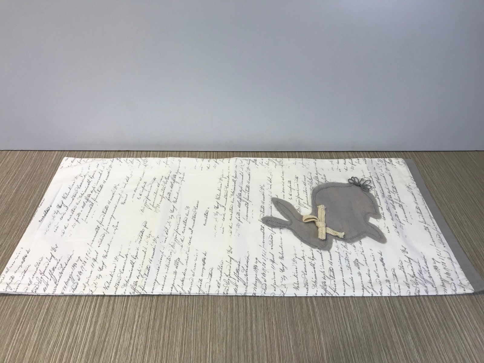 Camino blanco conejo gris borde cabuya