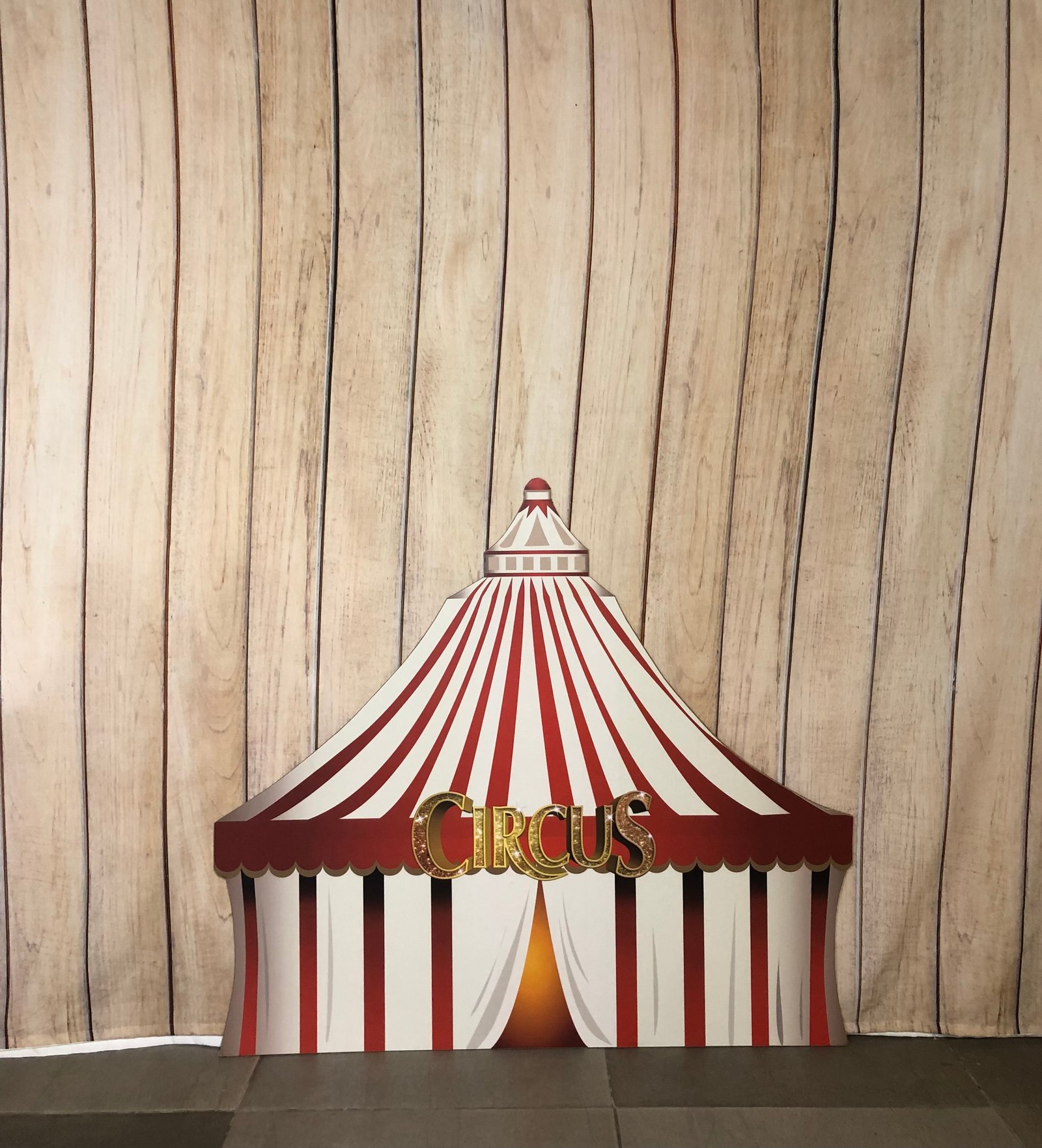 Carpa Carton Circus