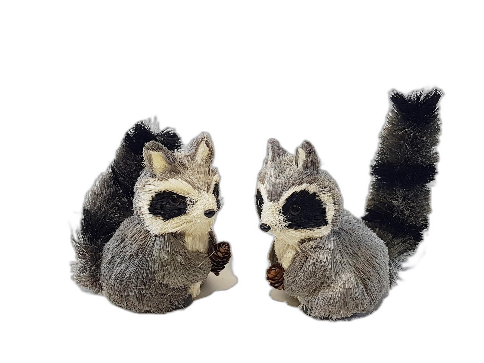 Mapaches Con Nuez En La Mano Gris Con Negro