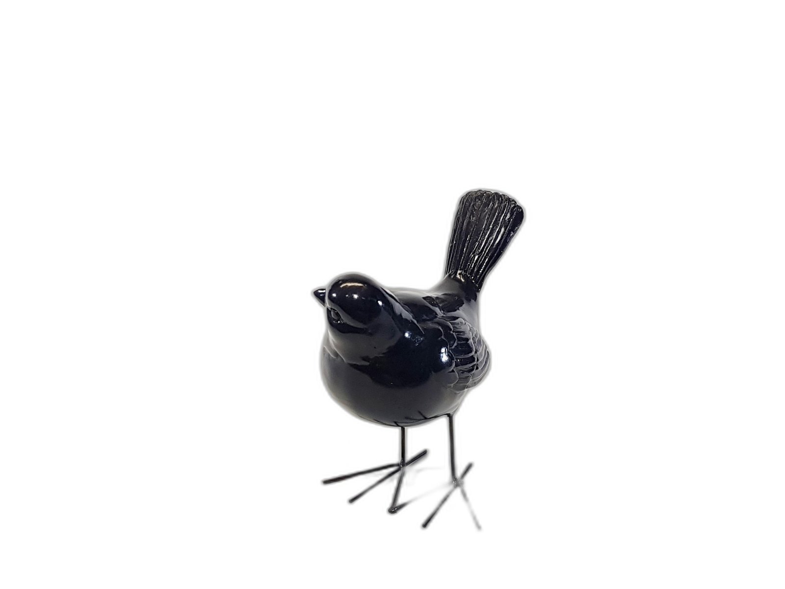 Pajaro Negro