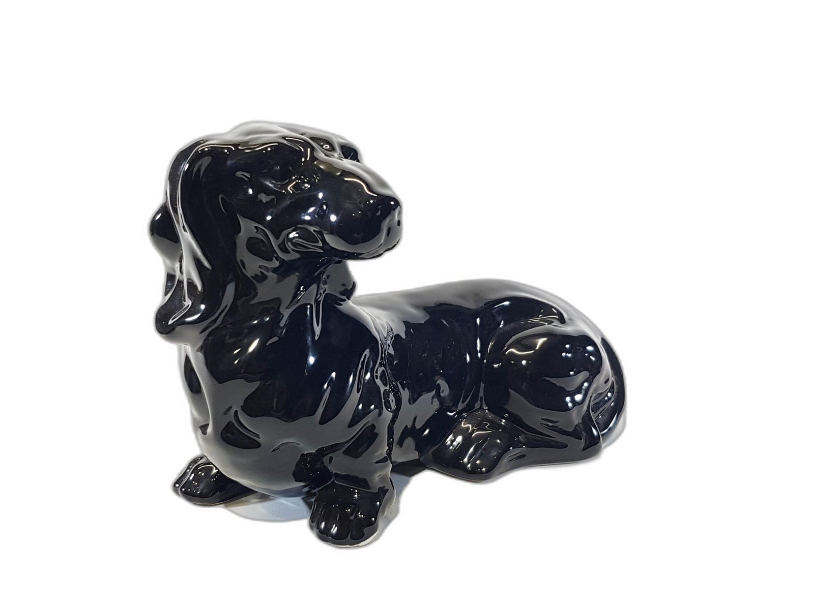 Perro Salchicha Negro