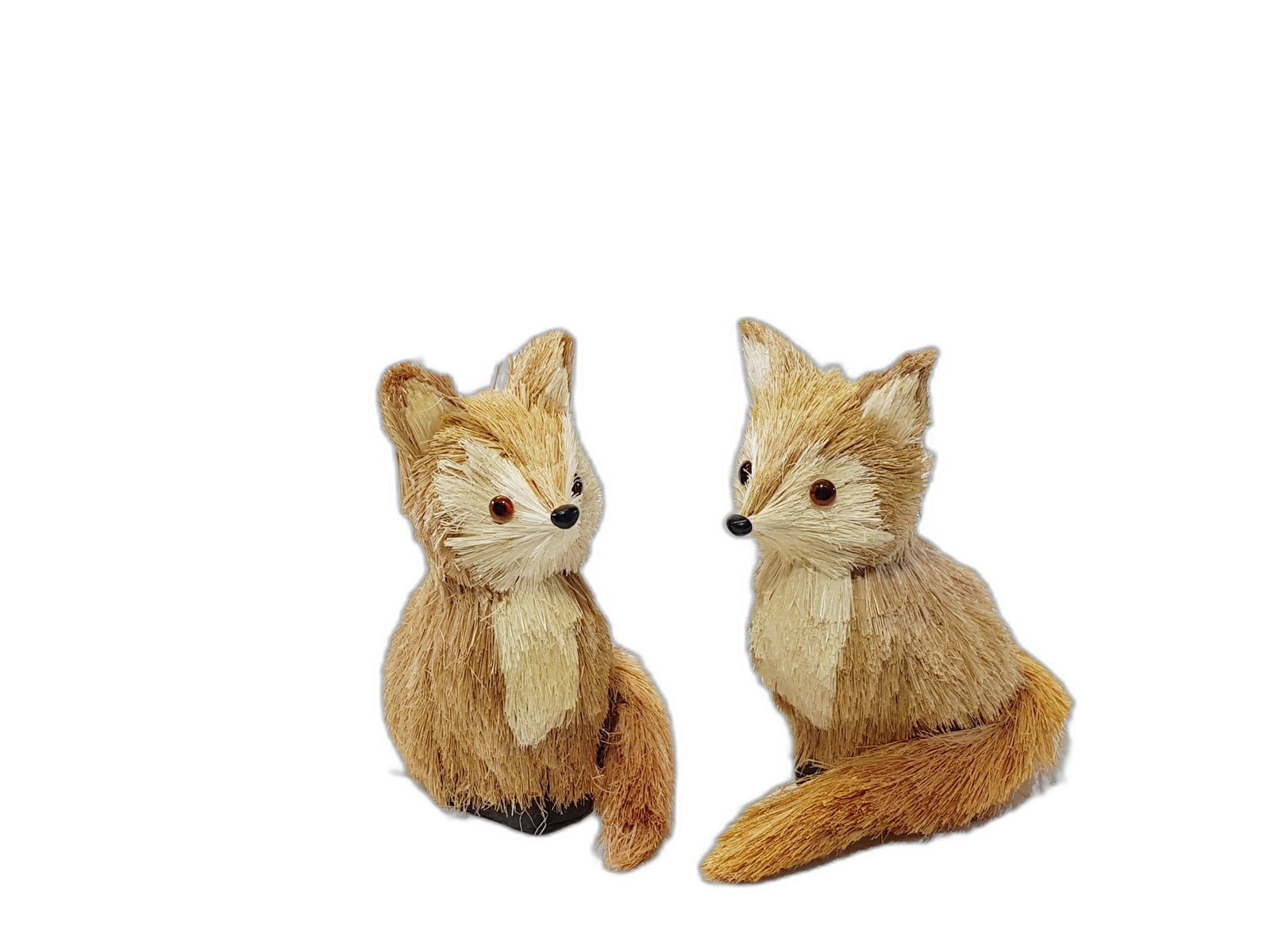 Zorro Café Con Crema