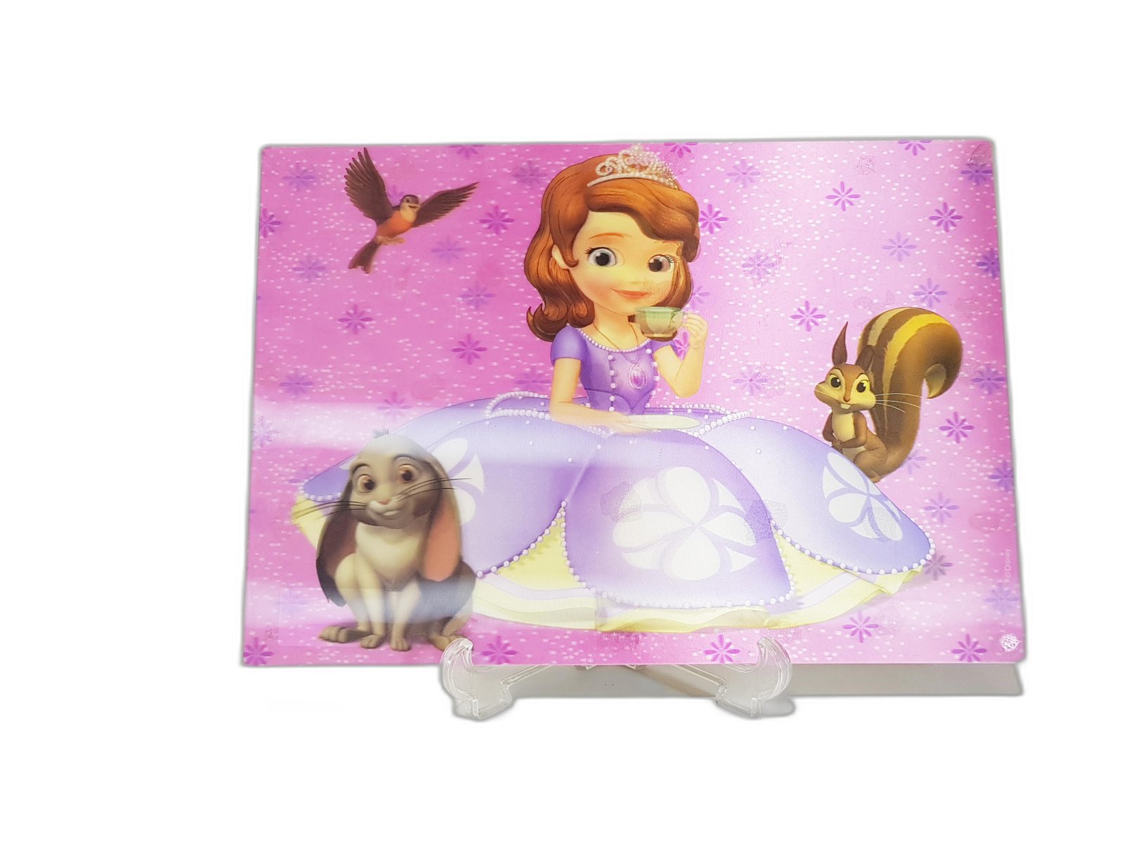 Individual Princesita Sofia 3D 40 X 28