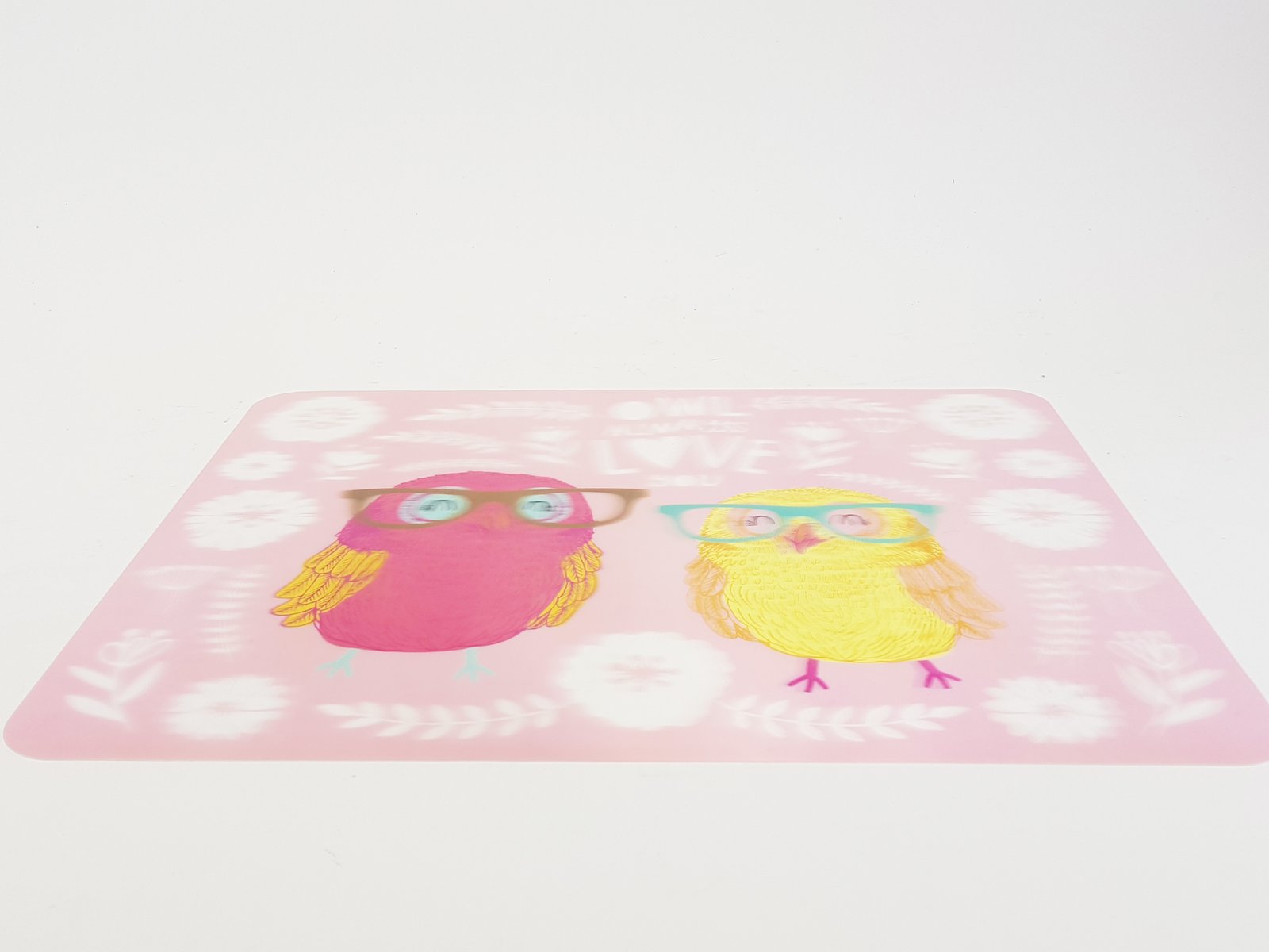Individual Pajaros Con Gafas 3D 46 X 35