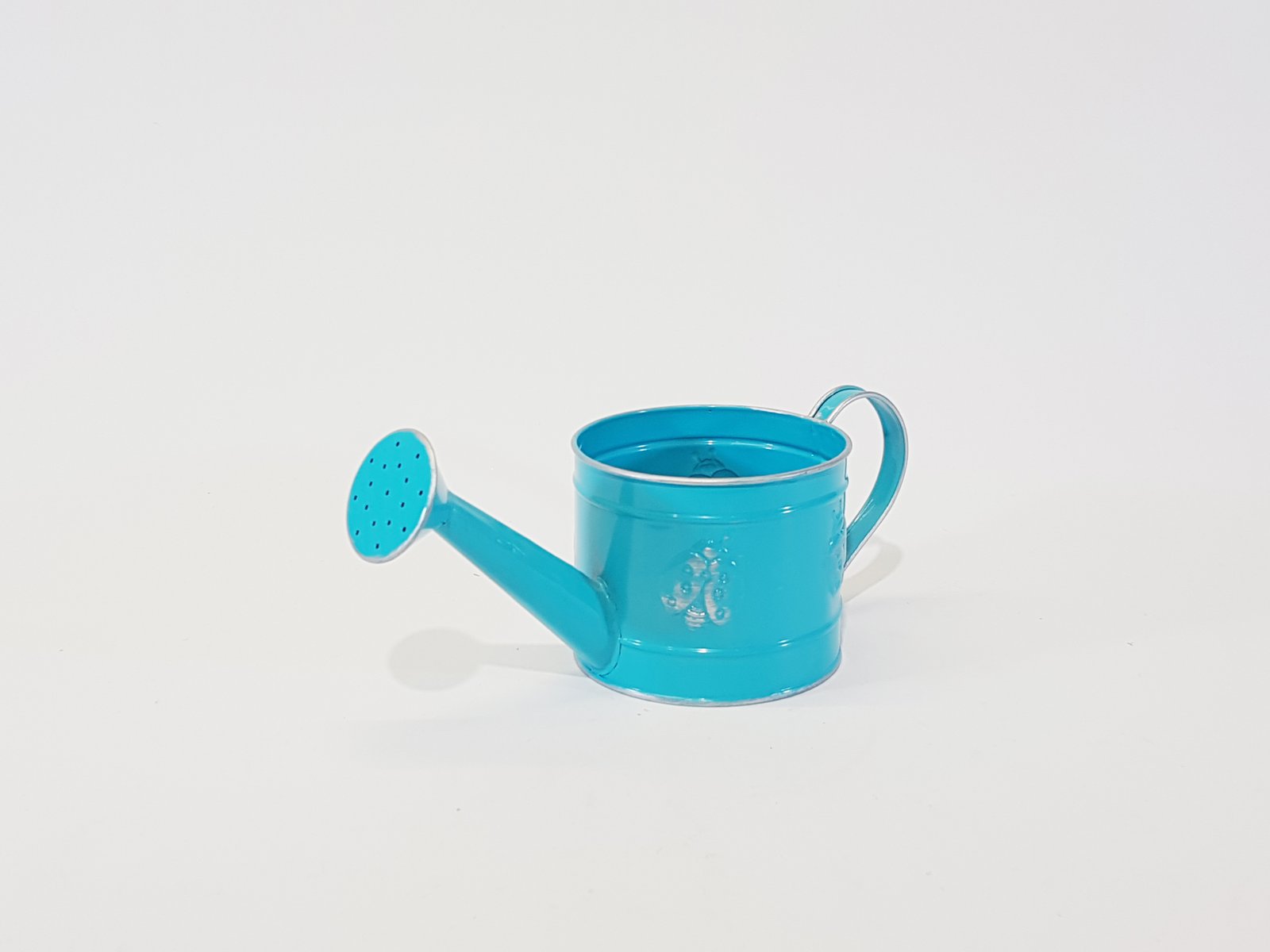 Regadera Azul Mariposas Pequena