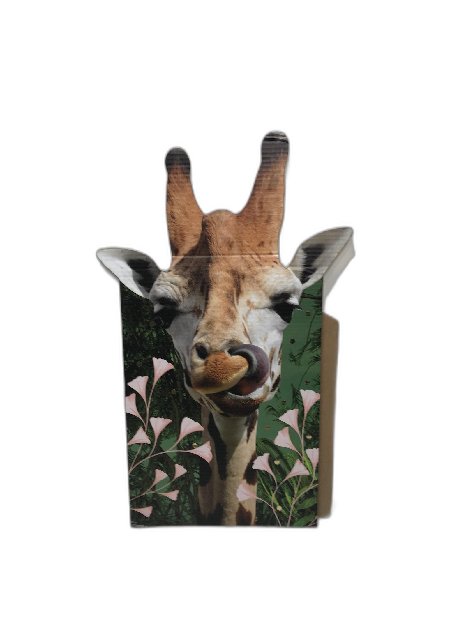 Jirafa Carton Safari