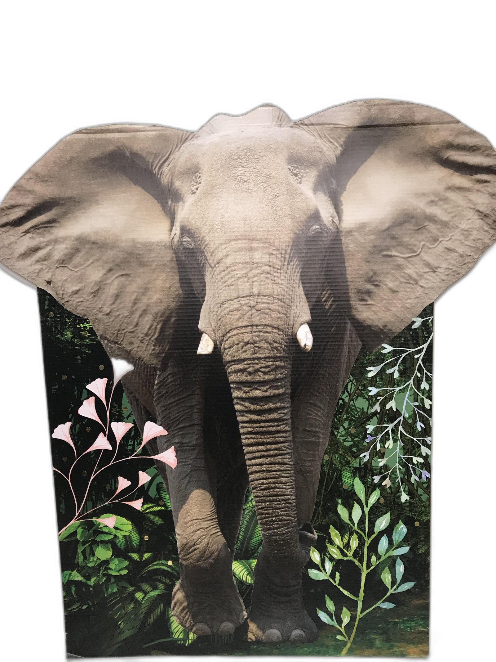 Elefante Carton Safari