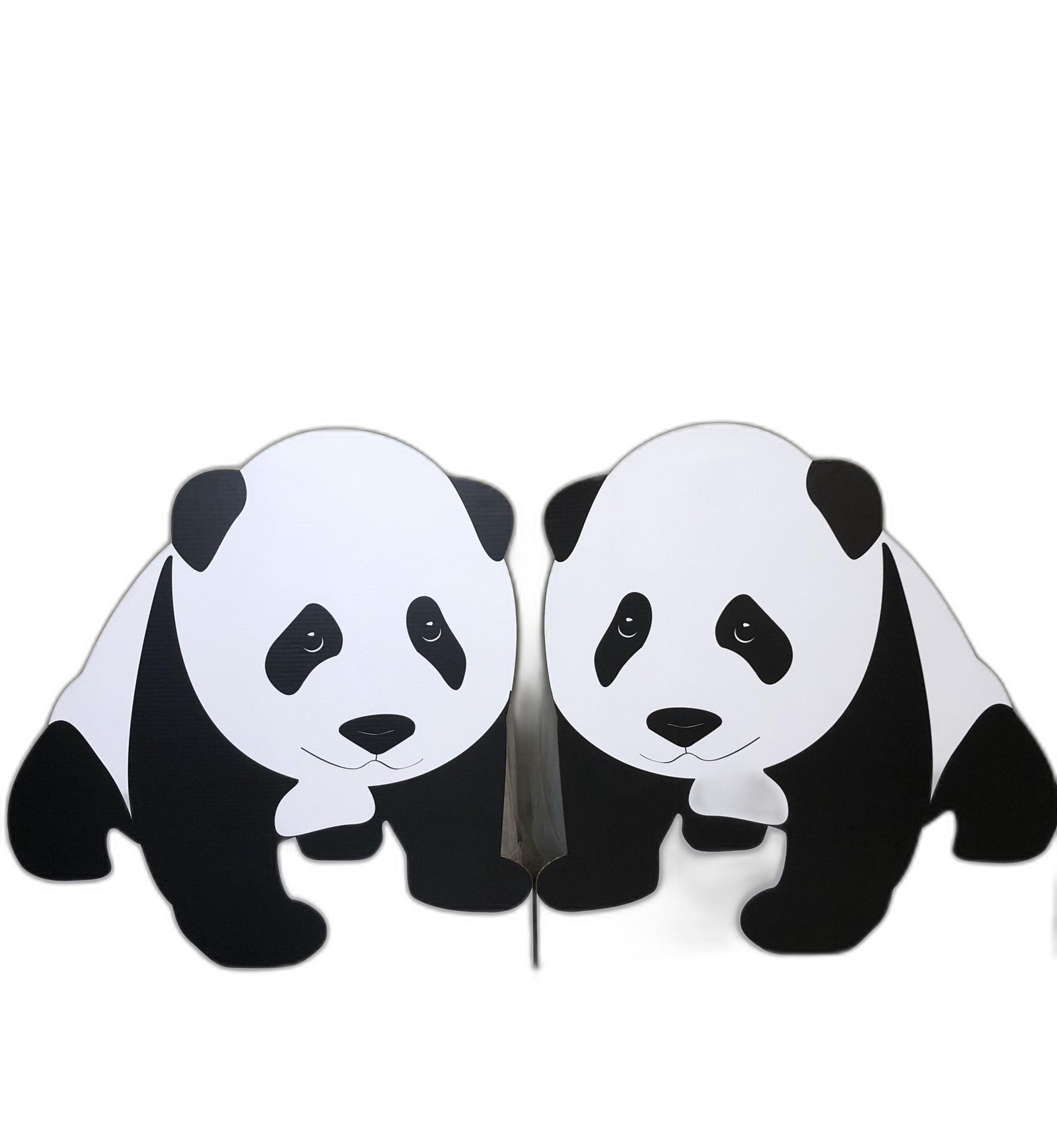 Oso Panda Grande Carton 