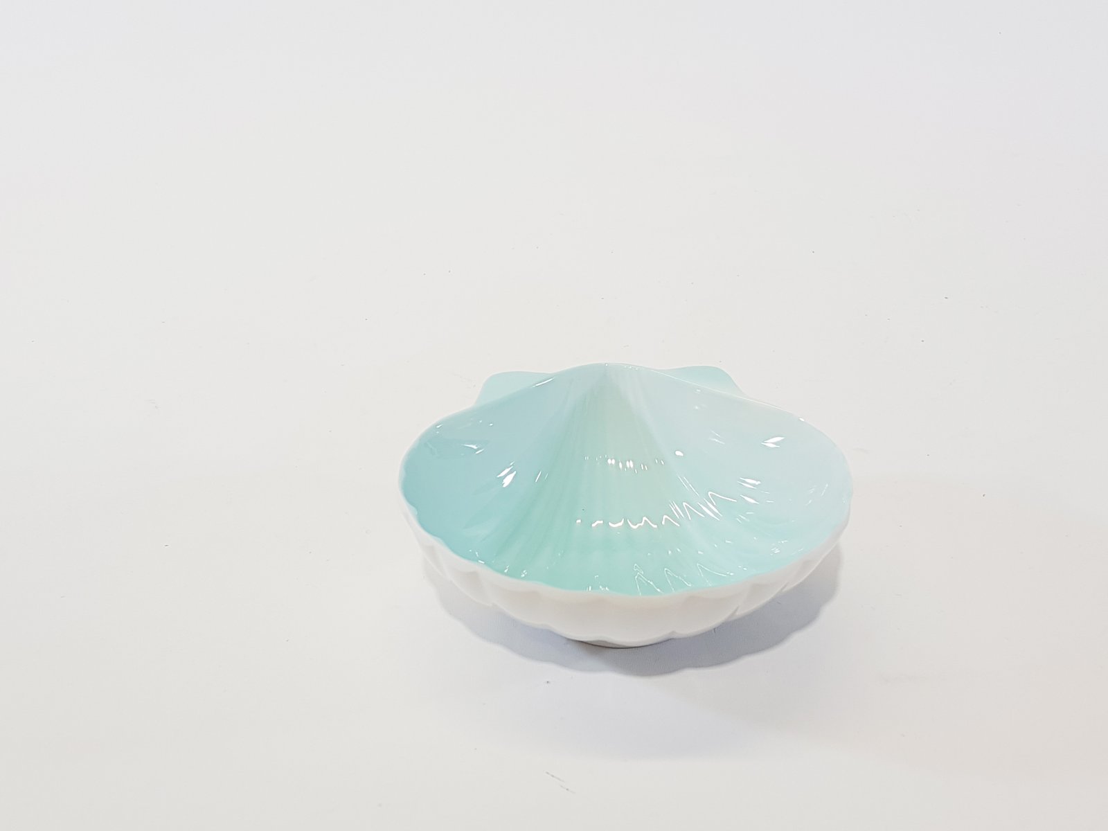 Salsera Forma Ostra Fondo Agua Marina