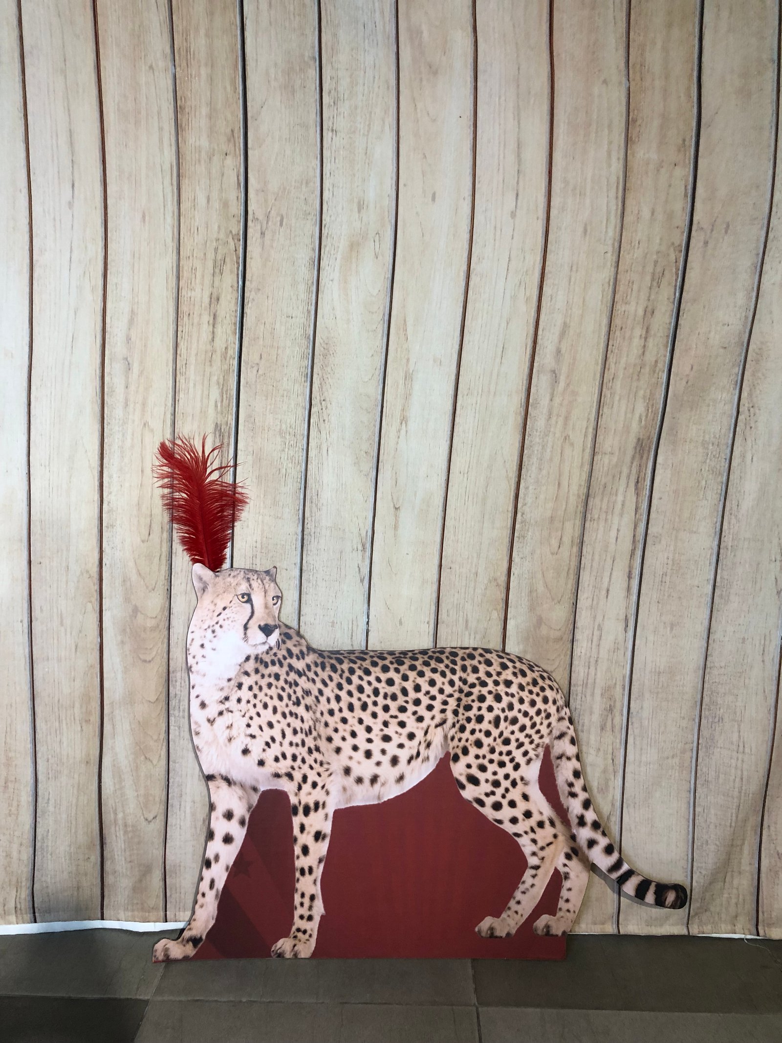 Leopardo Circo Carton