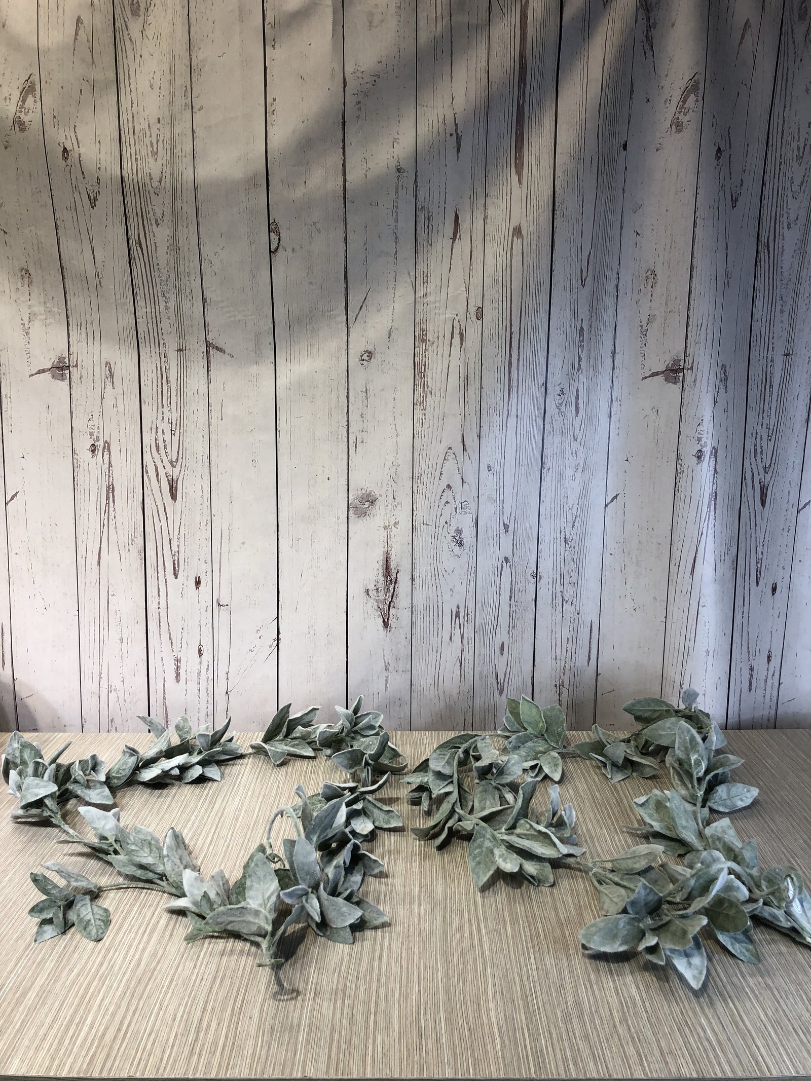 rama larga hojas verdes y blancas 