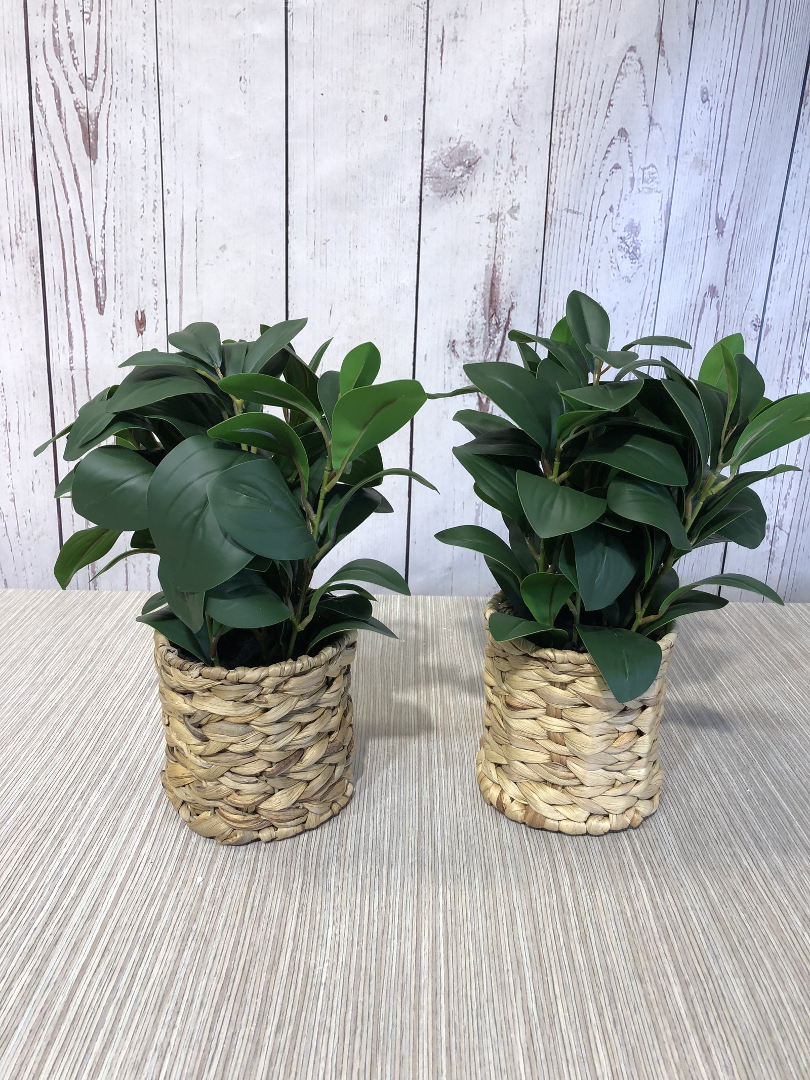 matero rattan redondo con hojas verdes