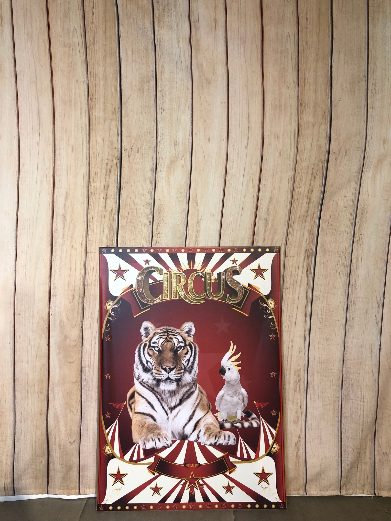 Placa Carton Rectangular Tigre Circus