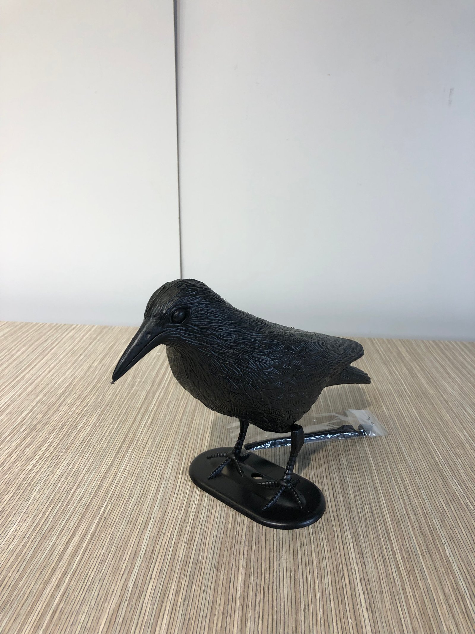 Pajaro Cuervo Negro Pasta Con Base